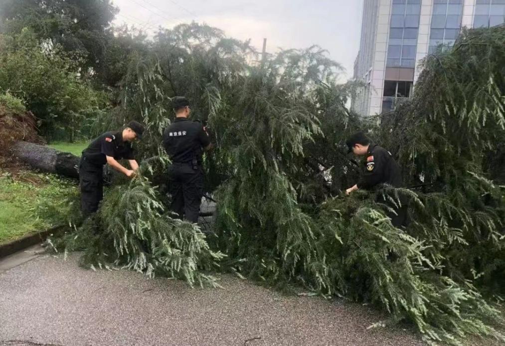 C:/Users/BA/Desktop/風雨過后南京保安迅速行動，恢復安“寧”面貌/1.jpg1